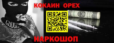 крисы Партизанск