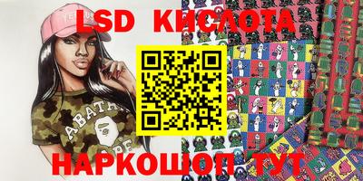 крисы Партизанск