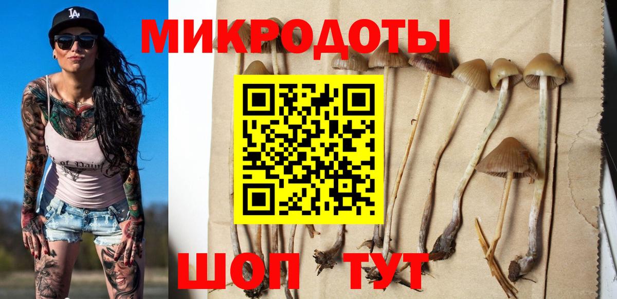 Славгород  Псилоцибиновые грибы мухоморы  Псилоцибиновые грибы MAGIC MUSHROOMS  Вход с VPN 